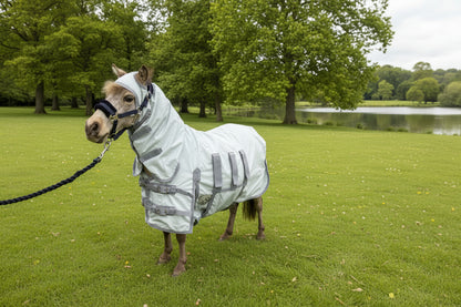Shetland - Miniature - Donkey UV Fly Rug Combo - Water repellent version