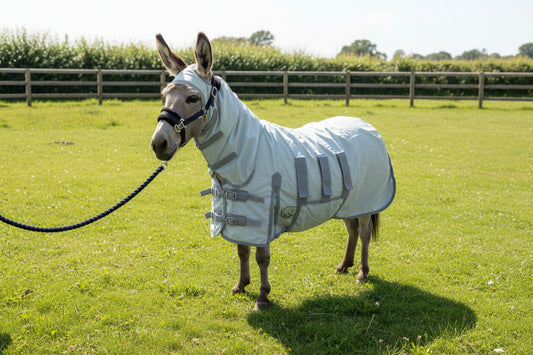 Shetland - Miniature - Donkey UV Fly Rug Combo - Water repellent version