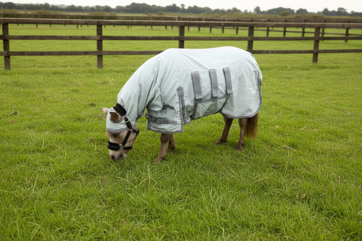 Shetland - Miniature - Donkey UV Fly Rug Combo - Water repellent version
