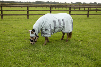 Shetland - Miniature - Donkey UV Fly Rug Combo - Water repellent version