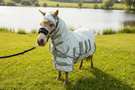 Shetland - Miniature - Donkey UV Fly Rug Combo - Water repellent version
