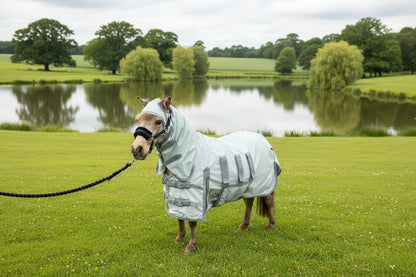 Shetland - Miniature - Donkey UV Fly Rug Combo - Water repellent version