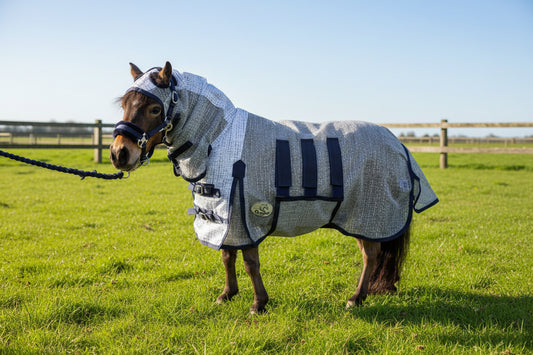 Shetland-Miniature-Donkey Ultra Light Combo Fly Rug With Ear Holes-V2