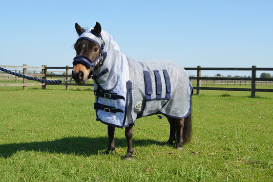 Shetland-Miniature-Donkey Ultra Light Combo Fly Rug With Ear Holes-V2