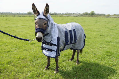 Shetland-Miniature-Donkey Ultra Light Combo Fly Rug With Ear Holes-V2