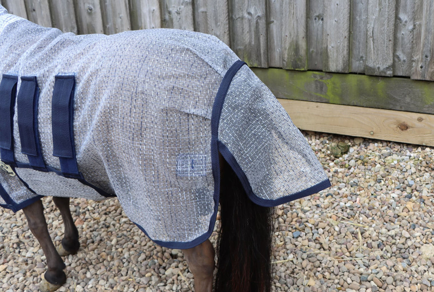 Shetland-Miniature-Donkey Ultra Light Combo Fly Rug With Ear Holes-V2
