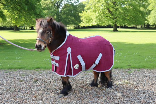 Shetland-Miniature-Donkey Triple Layer Wicking Rug - Burgundy