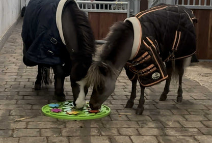 Horse-Pony-Shetland-Donkey Snuffle Treat Mat -Round