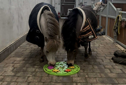 Horse-Pony-Shetland-Donkey Snuffle Treat Mat -Round
