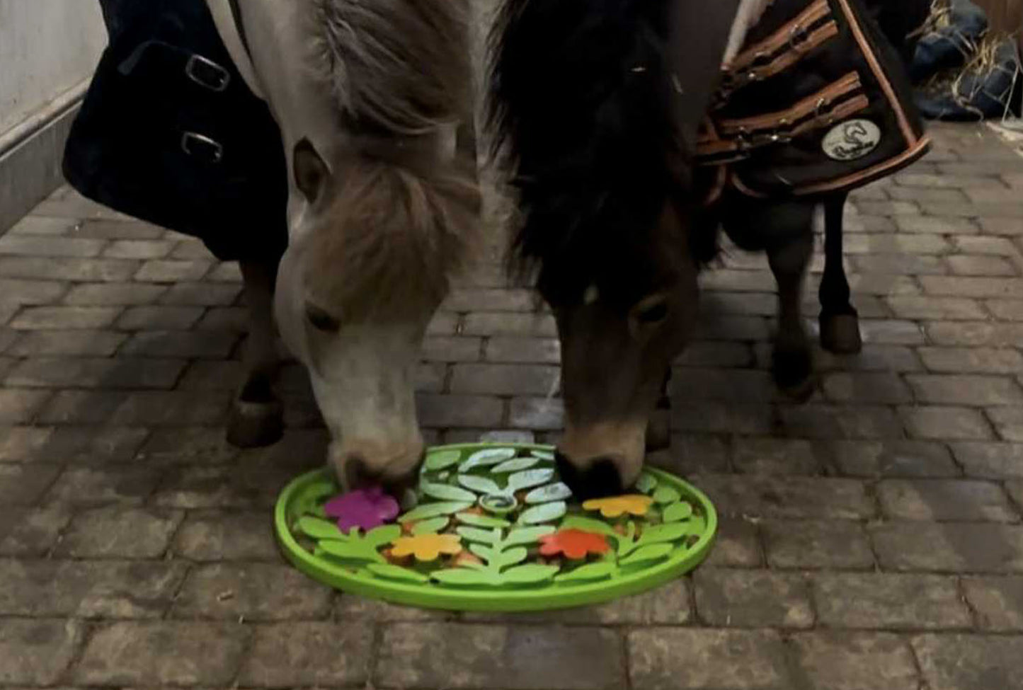 Horse-Pony-Shetland-Donkey Snuffle Treat Mat