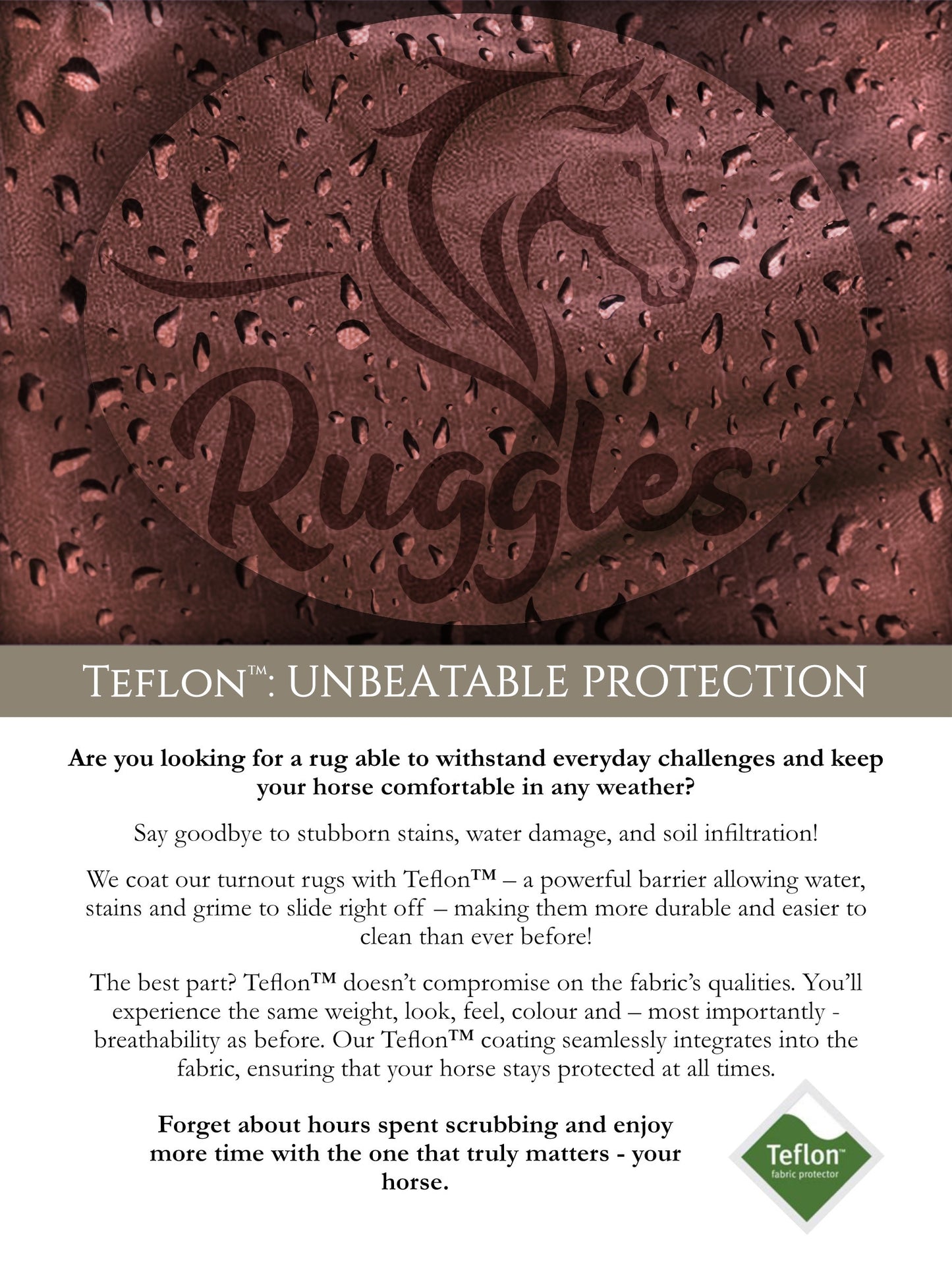 Shetland-Miniature-Donkey-Section A 100g V2 Turnout Rug - Clearance