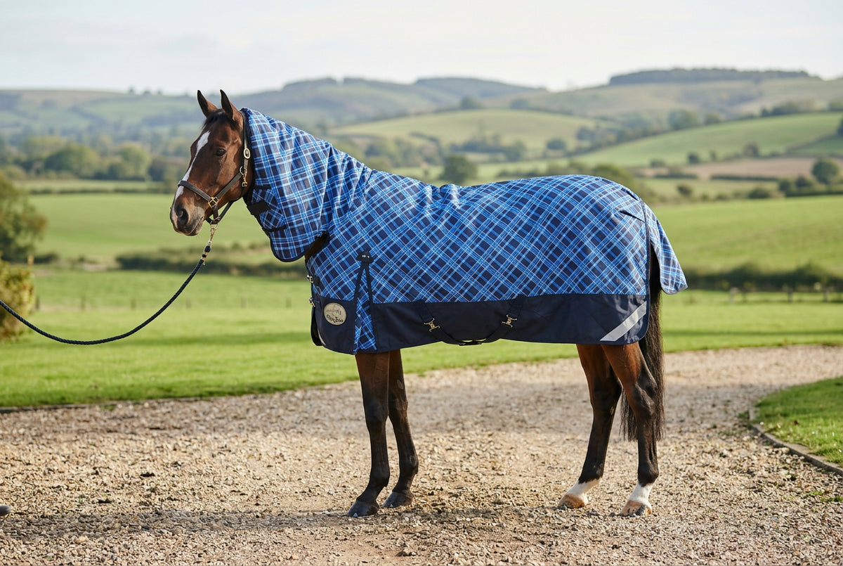 Middleweight 300g 1200D Combo Turnout Rug