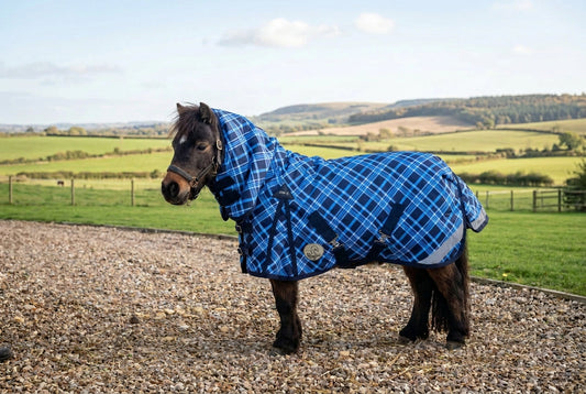 Shetland-Miniature-Donkey-Section A Middleweight 300g Combo Turnout Rug