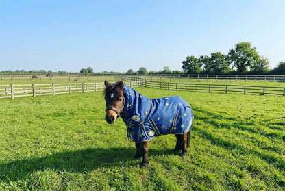 Shetland-Miniature-Donkey-Section A 200g V2 Middleweight 1200D Standard Turnout Rug