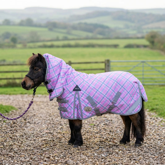 Shetland-Miniature-Donkey-Section A Middleweight 300g Combo Turnout Rug