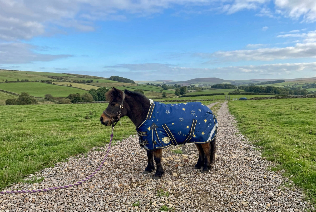 Shetland-Miniature-Donkey-Section A 200g V2 Middleweight 1200D Standard Turnout Rug