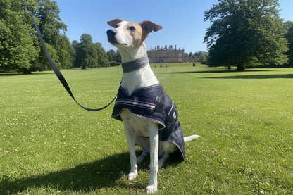 Waterproof Dog Coat - Limited Edition Print