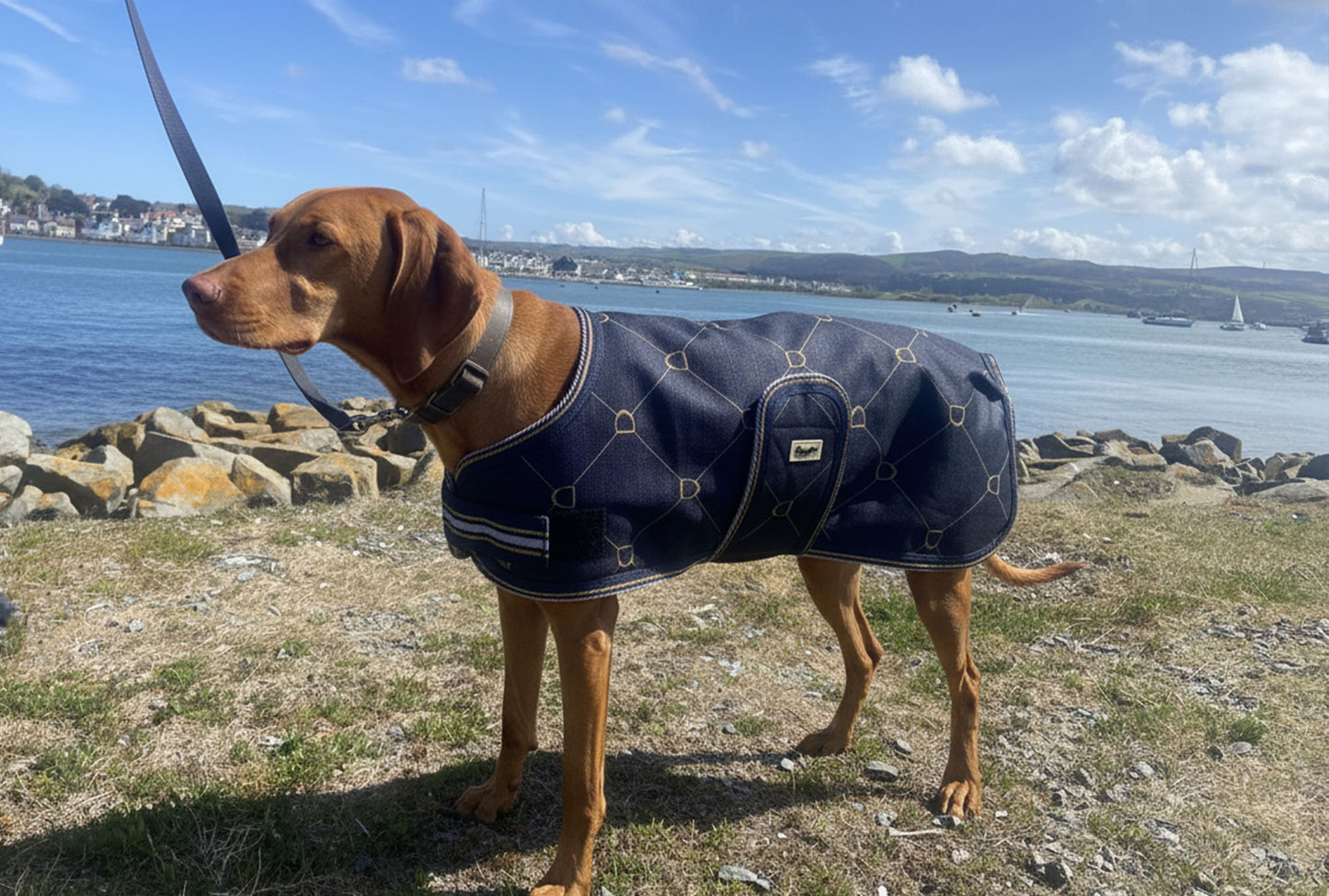 Waterproof Dog Coat - Limited Edition Print