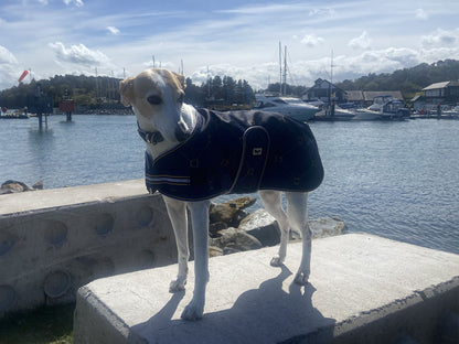 Waterproof Dog Coat - Limited Edition Print