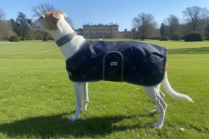 Waterproof Dog Coat - Limited Edition Print