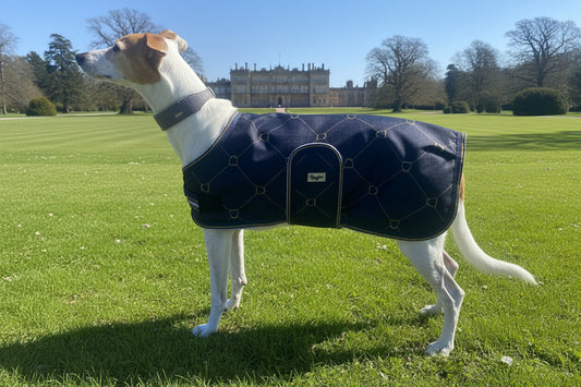 Waterproof Dog Coat - Limited Edition Print