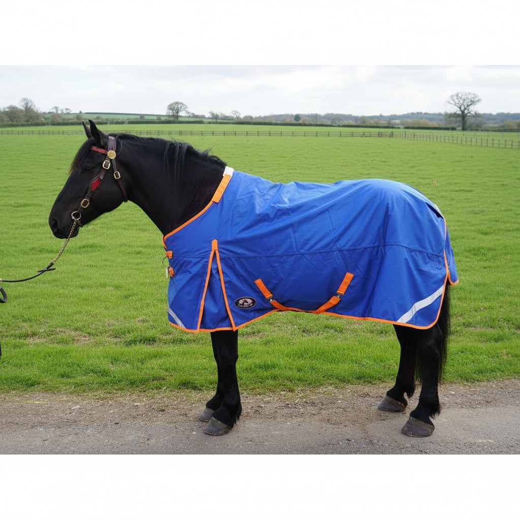 Middleweight Turnout Rugs – Ruggles Equestrian