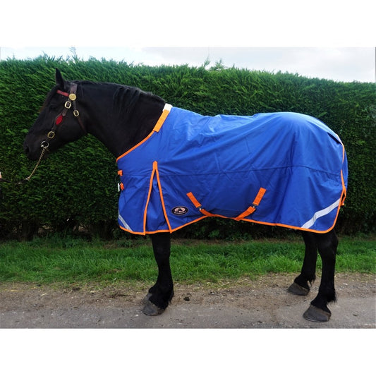 Heavy Horse 200g Middleweight V2 1200D Turnout Rug