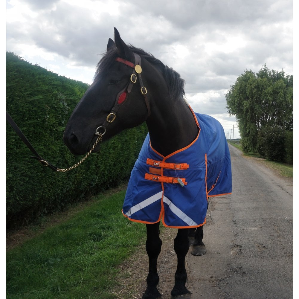 Heavy Horse 200g Middleweight V2 1200D Turnout Rug