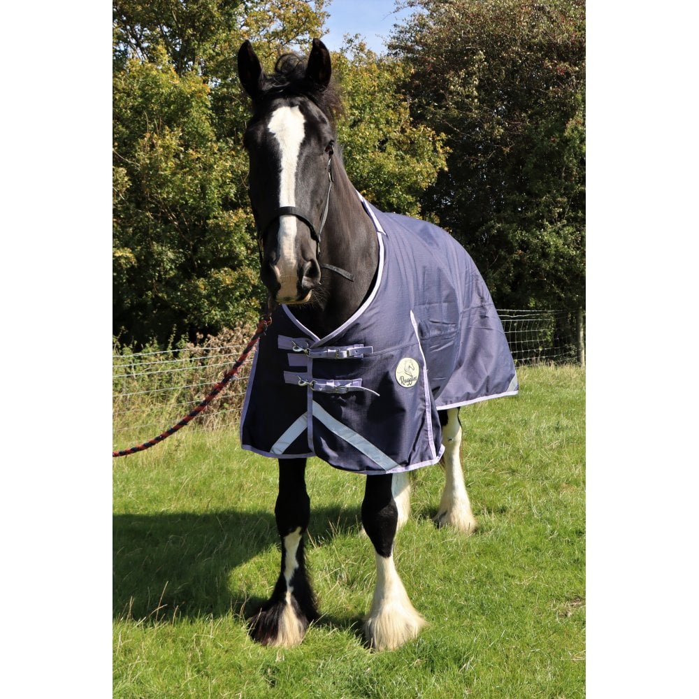 Heavy Horse 280g V2 Turnout Rug
