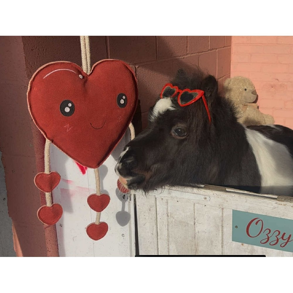 Horse Toy - Heart