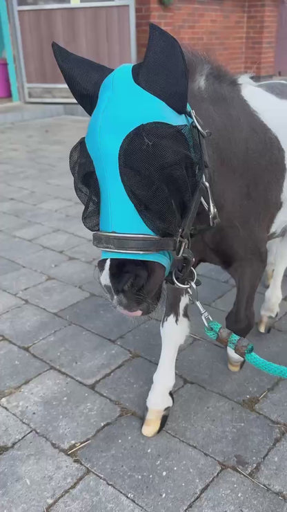 Shetland-Miniature-Section A Pull On Fly Mask With Ears