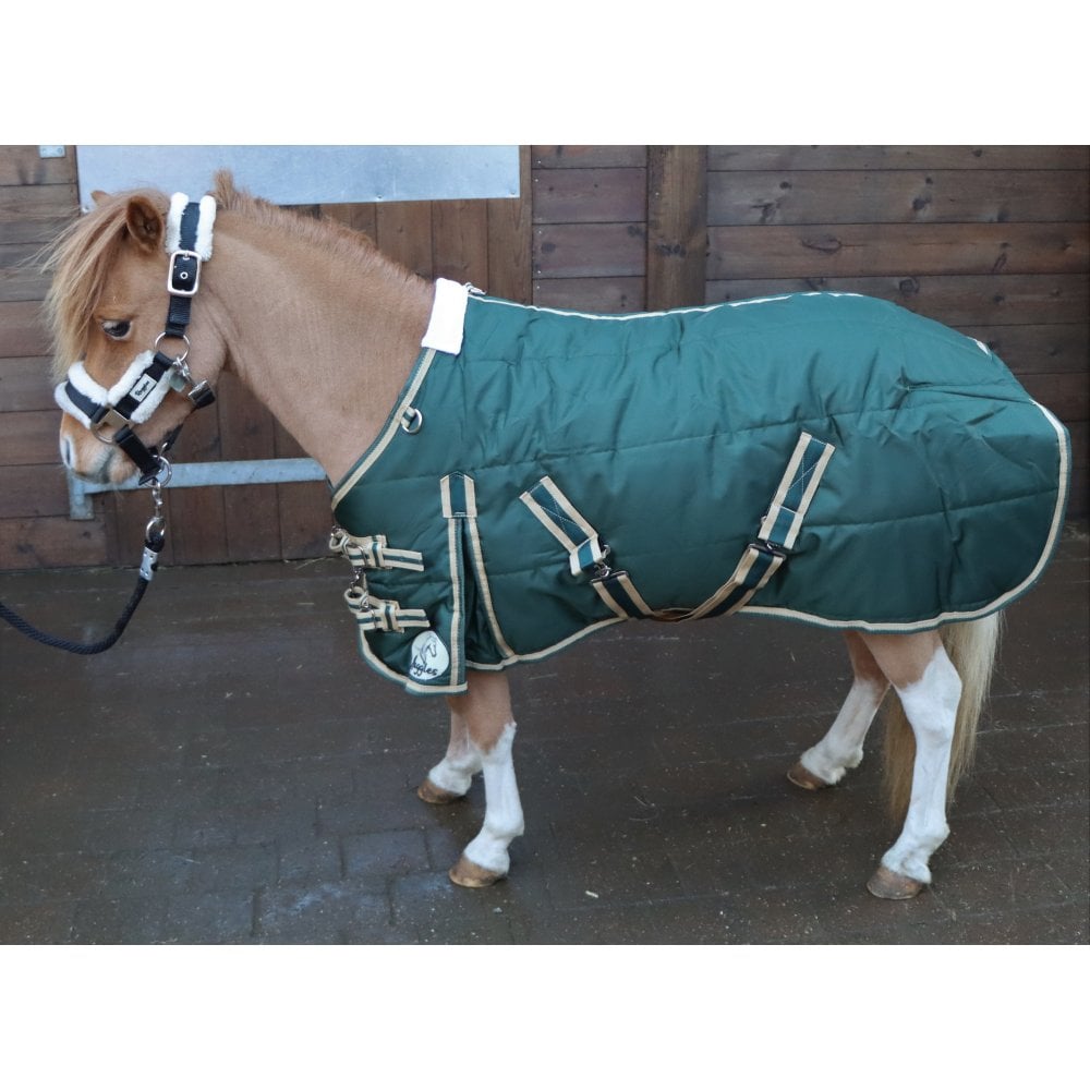 Shetland-Miniature-Donkey 250g Stable Rug With Neck