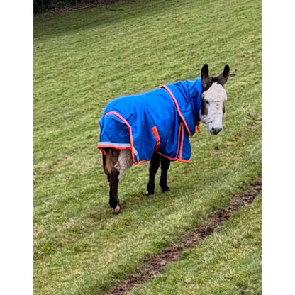 Shetland-Miniature-Donkey-Section A 200g V2 Middleweight 1200D Standard Turnout Rug