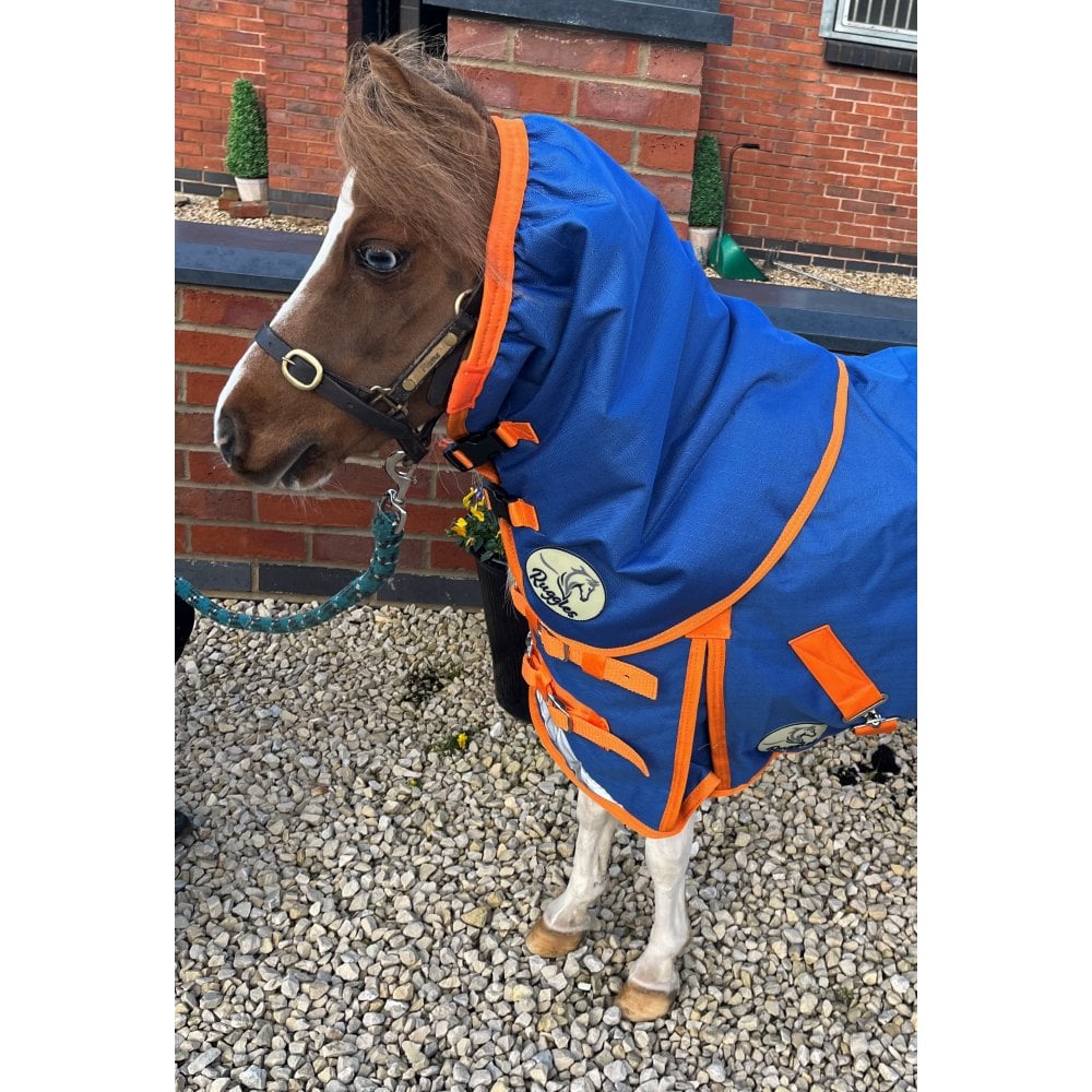 Shetland-Miniature-Donkey-Section A 200g V2 Neck Cover Only (Matching Rug Available Separately)