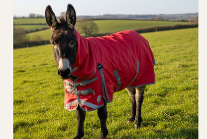 Shetland-Miniature-Donkey Combo Turnout 200g