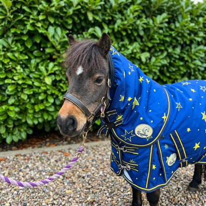 Shetland-Miniature-Donkey-Section A 200g V2 Neck Cover Only (Matching Rug Available Separately)