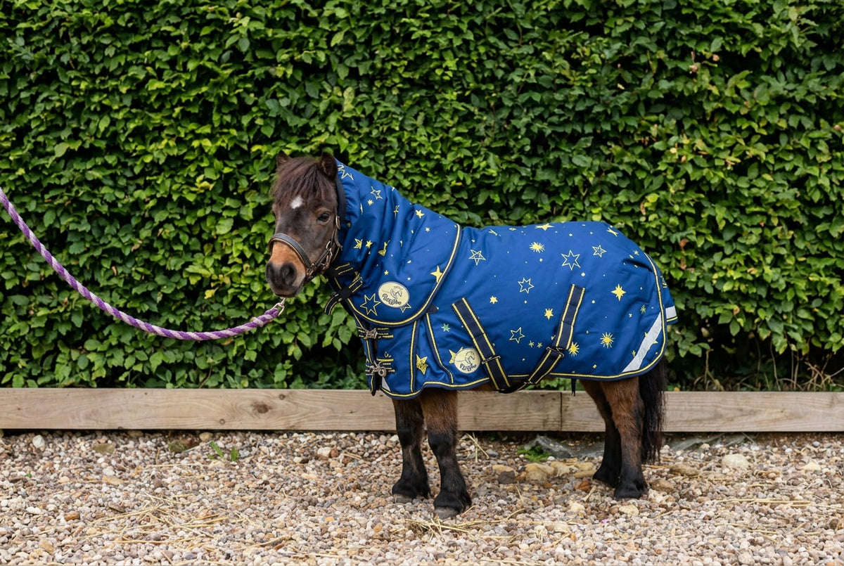 Shetland-Miniature-Donkey-Section A 200g V2 Neck Cover Only (Matching Rug Available Separately)