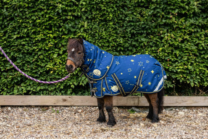 Shetland-Miniature-Donkey-Section A 200g V2 Neck Cover Only (Matching Rug Available Separately)