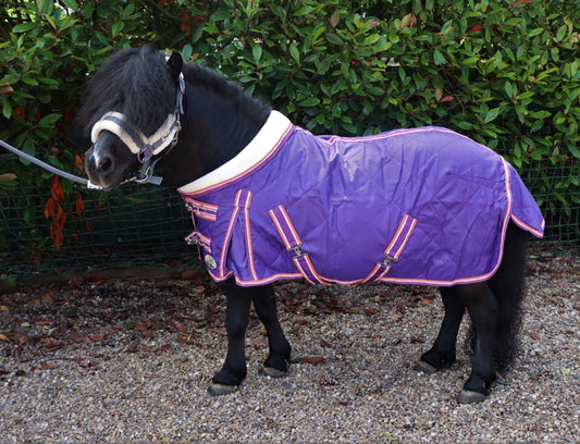 Shop Soiled 3'9 Shetland/Miniature/Donkey 100g Purple Stable